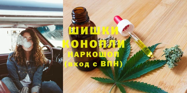 гашик Балахна