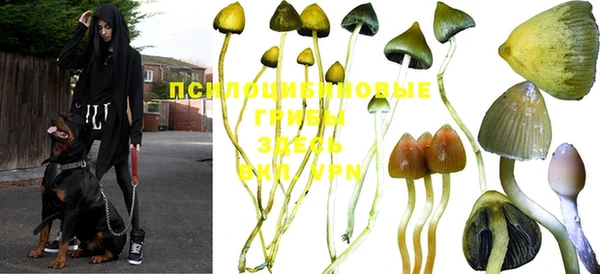 прущий лед Балабаново