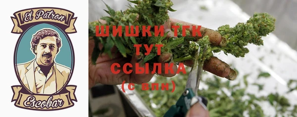 гашик Балахна