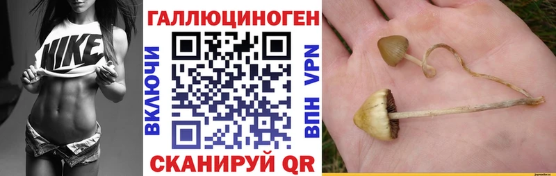 магазин продажи наркотиков  Черемхово  Галлюциногенные грибы мухоморы 